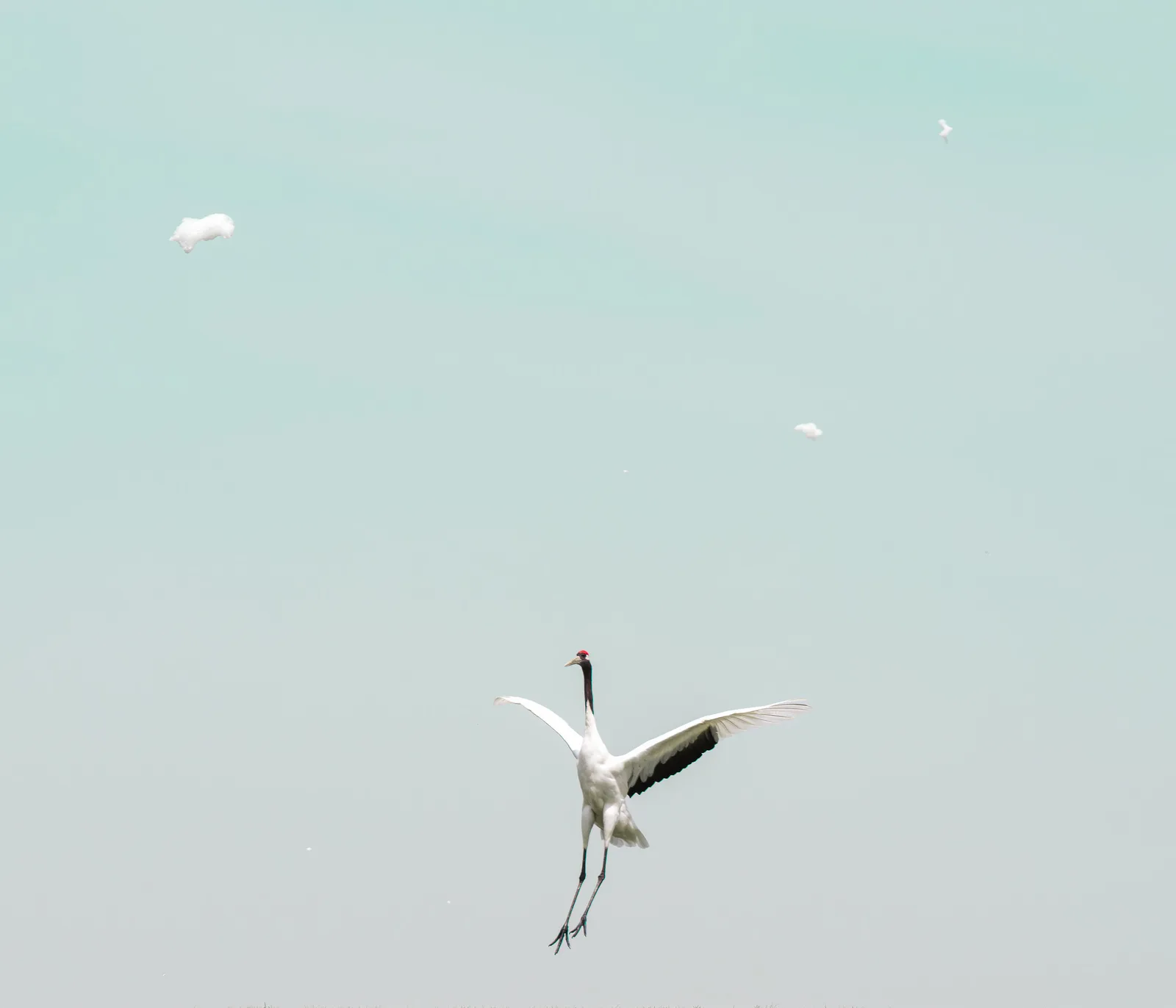 A Quiet Descent