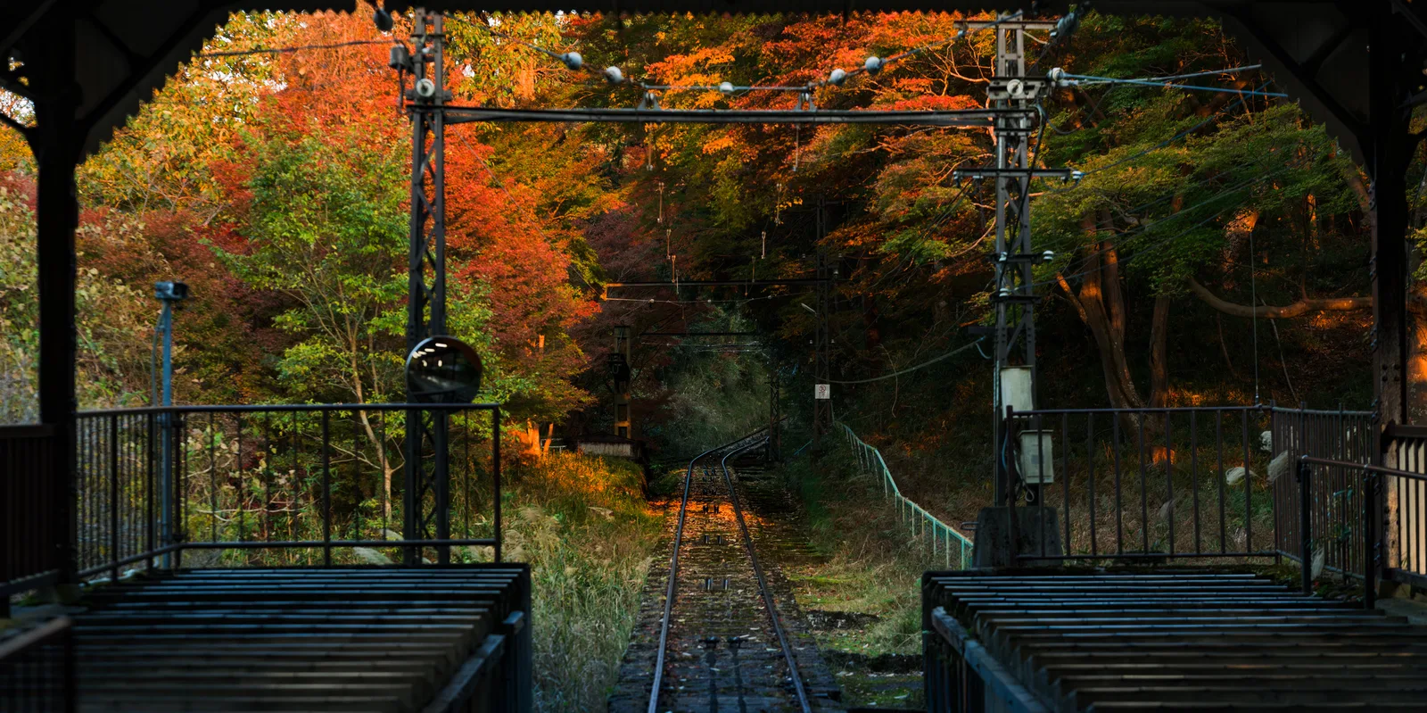 Autumn Passage