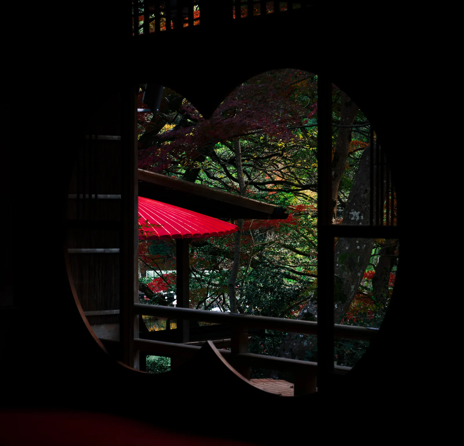 Red Through the Window