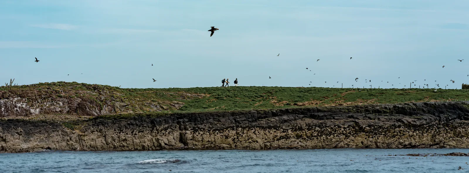 Two Figures Among Wings