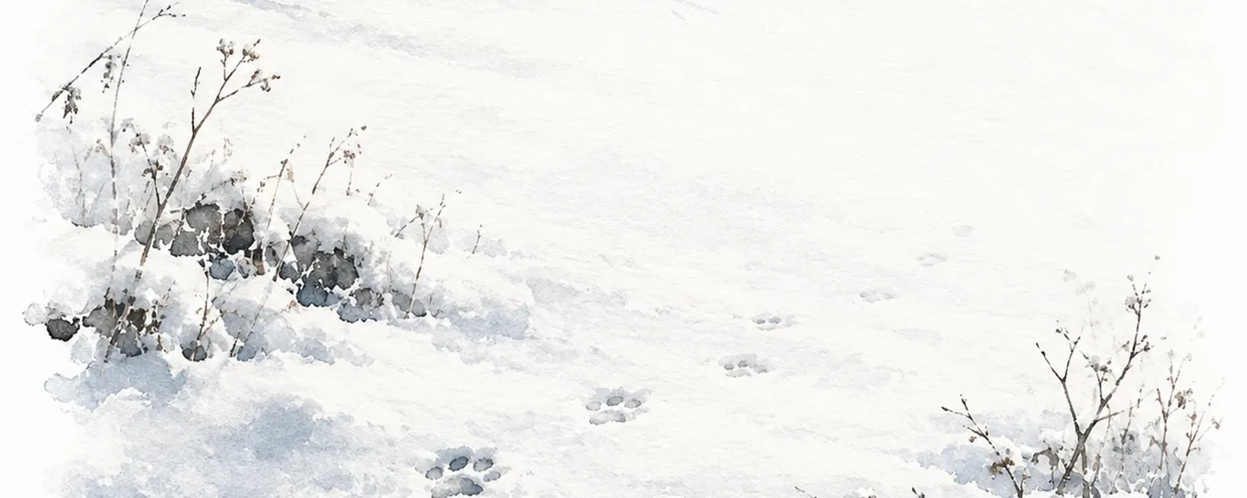 No Tracks in the Snow — conceptual literary editorial artwork, not an original photograph or film still.