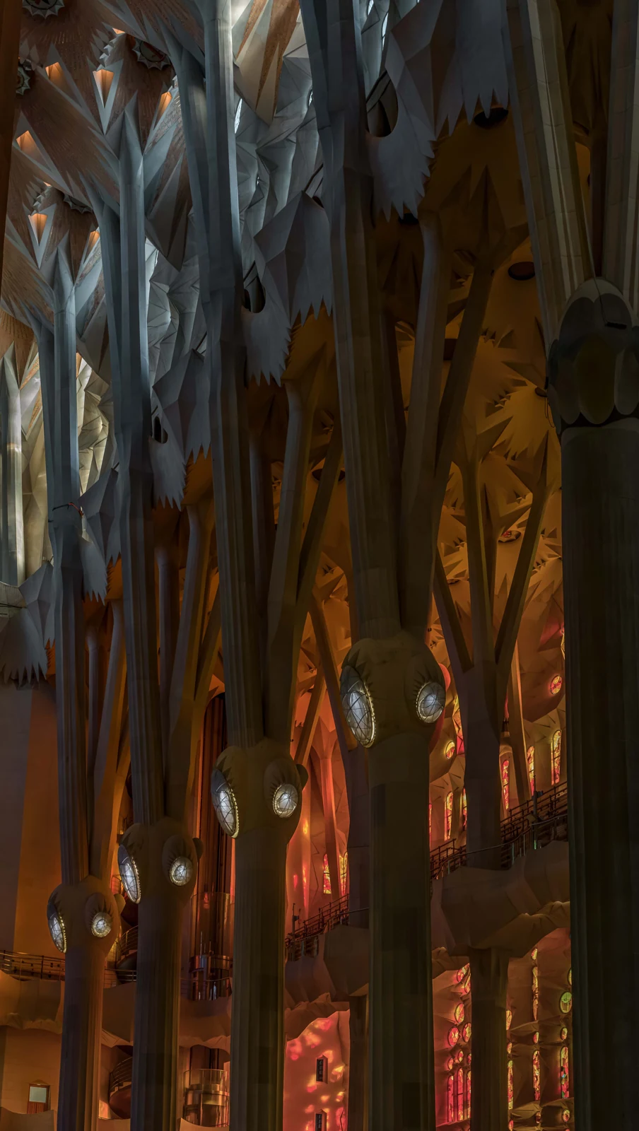 The Forest Within — La Sagrada Família · Barcelona, 2026