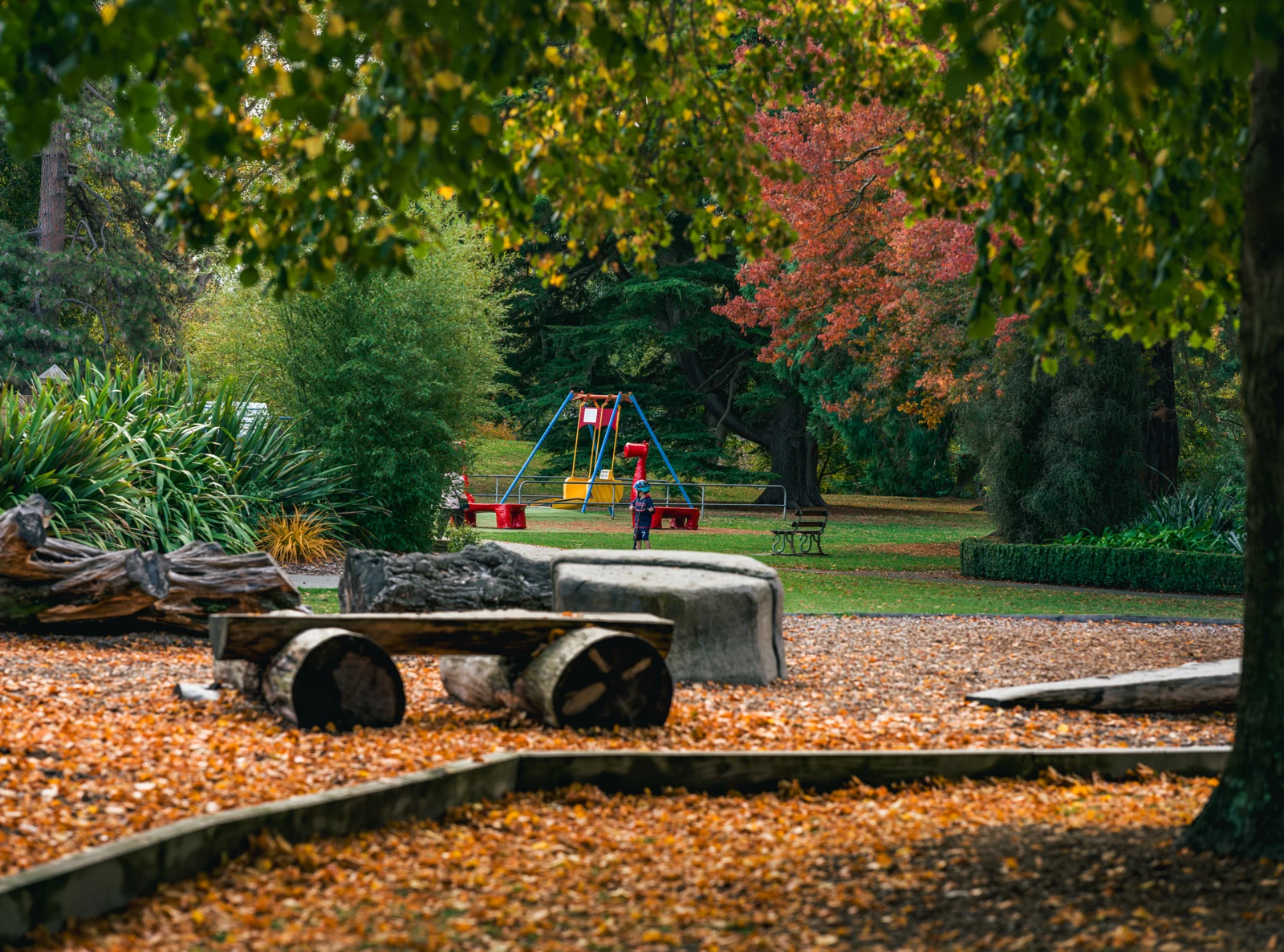 After the Playground Empties — New Zealand