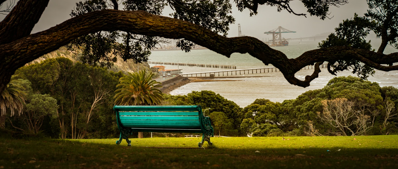 A Seat Above the Harbour — New Zealand