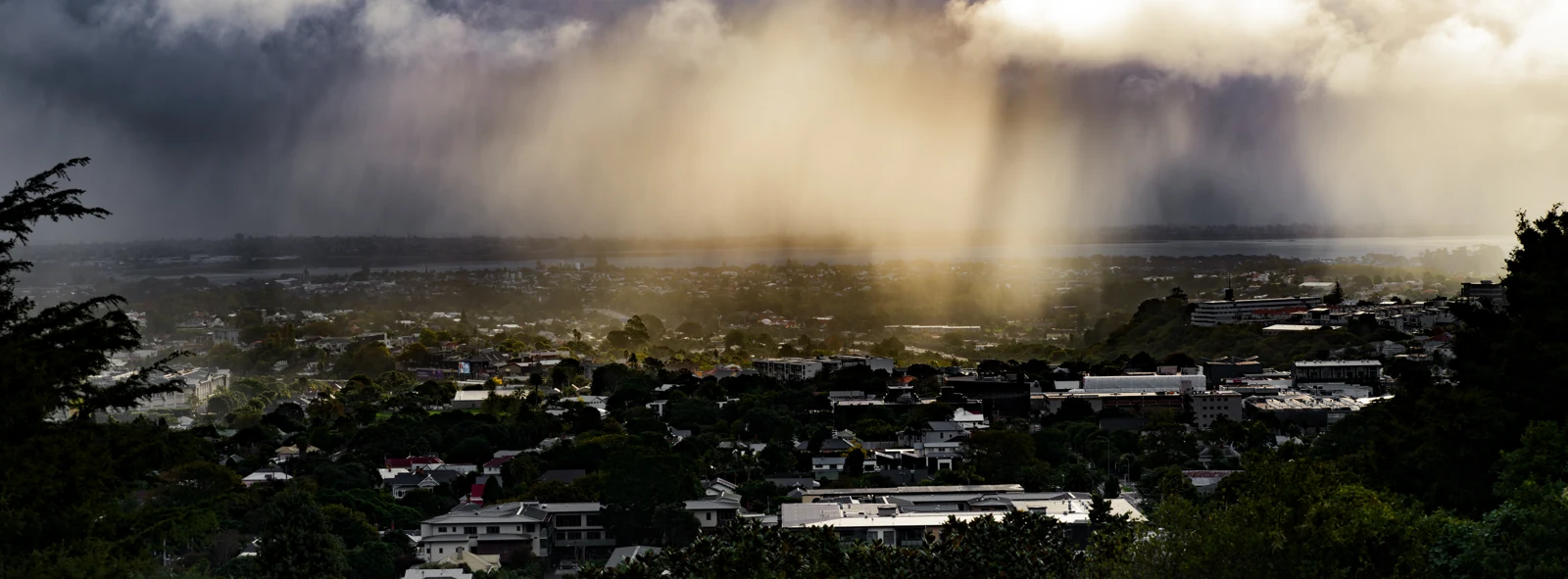 Rain Falling on the City — New Zealand